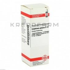 Галфімія Глаука ● Galphimia Glauca