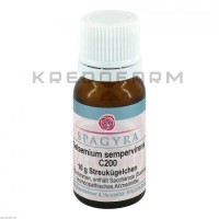 Гельземиум Семпервиренс ● Gelsemium Sempervirens