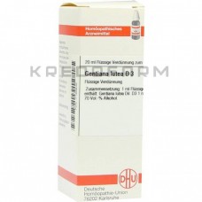 Гентіана Лутеа ● Gentiana Lutea