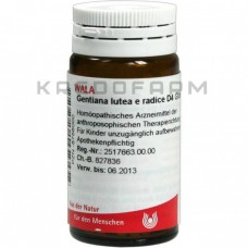 Гентіана Лутеа ● Gentiana Lutea