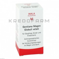 Гентіана Маген ● Gentiana Magen