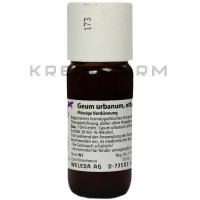 Геум Урбанум ● Geum Urbanum