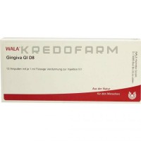 Гингива ● Gingiva