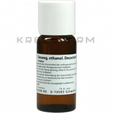 Гінзенг ● Ginseng