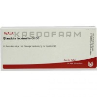 Гландула Лакрималис ● Glandula Lacrimalis