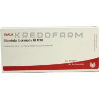 Гландула Лакрималис ● Glandula Lacrimalis