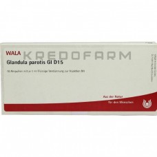 Гландула Паротіс ● Glandula Parotis