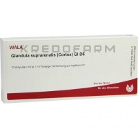 Гландула Супрареналис ● Glandula Suprarenales