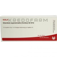 Гландула Супрареналис ● Glandula Suprarenales