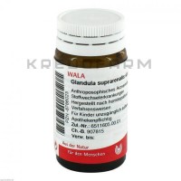 Гландула Супрареналис ● Glandula Suprarenales