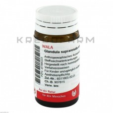 Гландула Супрареналіс ● Glandula Suprarenales