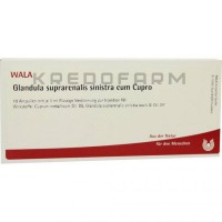 Гландула Супрареналис ● Glandula Suprarenalis