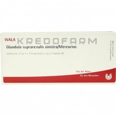 Гландула Супрареналіс ● Glandula Suprarenalis