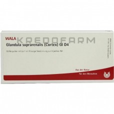 Гландула Супрареналіс ● Glandula Suprarenalis