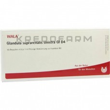 Гландула Супрареналіс ● Glandula Suprarenalis