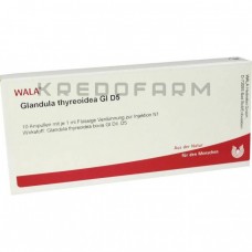 Гландула Тиреоїди ● Glandula Thyreoidea