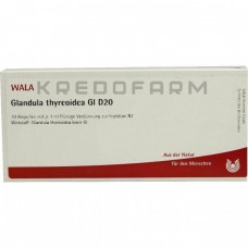 Гландула Тиреоїди ● Glandula Thyreoidea