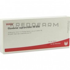 Гландуле Супрареналіс ● Glandulae Suprarenales