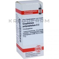 Гнафалиум Полицефалум ● Gnaphalium Polycephalum