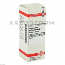 Гнафаліум Поліцефалум ● Gnaphalium Polycephalum