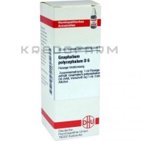 Гнафалиум Полицефалум ● Gnaphalium Polycephalum