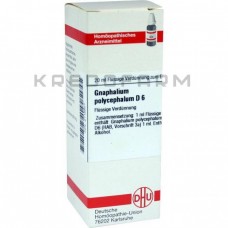 Гнафаліум Поліцефалум ● Gnaphalium Polycephalum