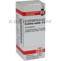 Гринделия Робуста ● Grindelia Robusta