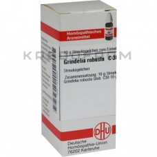 Грінделія Робуста ● Grindelia Robusta