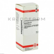 Хамамеліс ● Hamamelis