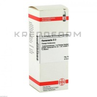 Хамамеліс ● Hamamelis