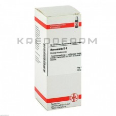 Хамамеліс ● Hamamelis