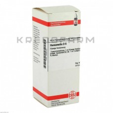 Хамамеліс ● Hamamelis