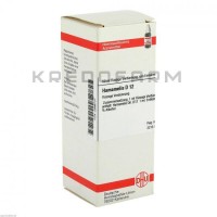 Хамамеліс ● Hamamelis