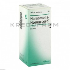 Хамамеліс Хомаккорд ● Hamamelis Homaccord