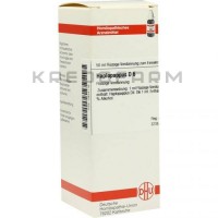 Хаплопаппус ● Haplopappus