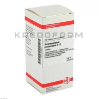 Харпагофітум Прокумбенс ● Harpagophytum Procumbens