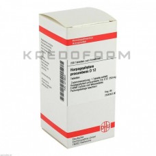 Харпагофітум Прокумбенс ● Harpagophytum Procumbens