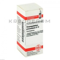 Харпагофітум Прокумбенс ● Harpagophytum Procumbens