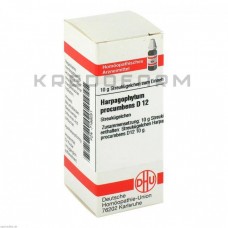 Харпагофітум Прокумбенс ● Harpagophytum Procumbens