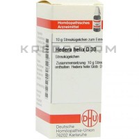 Хедера Хелікс ● Hedera Helix