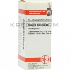 Хедера Хелікс ● Hedera Helix