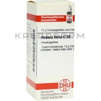 Хедера Хелікс ● Hedera Helix