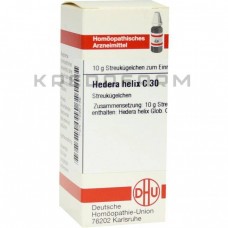 Хедера Хелікс ● Hedera Helix