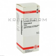 Хедера Хелікс ● Hedera Helix