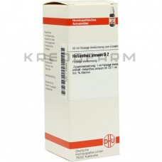 Геліантус Аннуус ● Helianthus Annuus