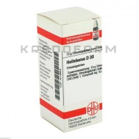 Геллеборус ● Helleborus