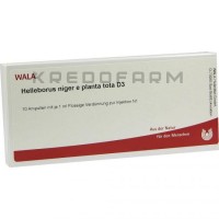 Геллеборус Нігер ● Helleborus Niger