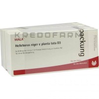 Геллеборус Нігер ● Helleborus Niger