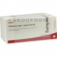 Геллеборус Нігер ● Helleborus Niger