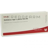 Геллеборус Нігер ● Helleborus Niger